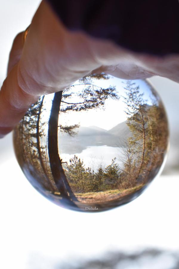 B&B Tulipano Crone Dış mekan fotoğraf