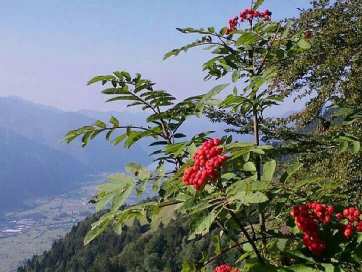 B&B Tulipano Crone Dış mekan fotoğraf