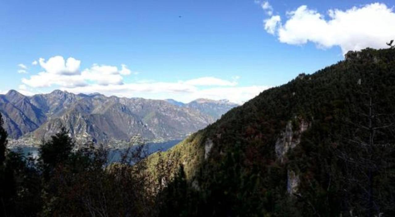 B&B Tulipano Crone Dış mekan fotoğraf